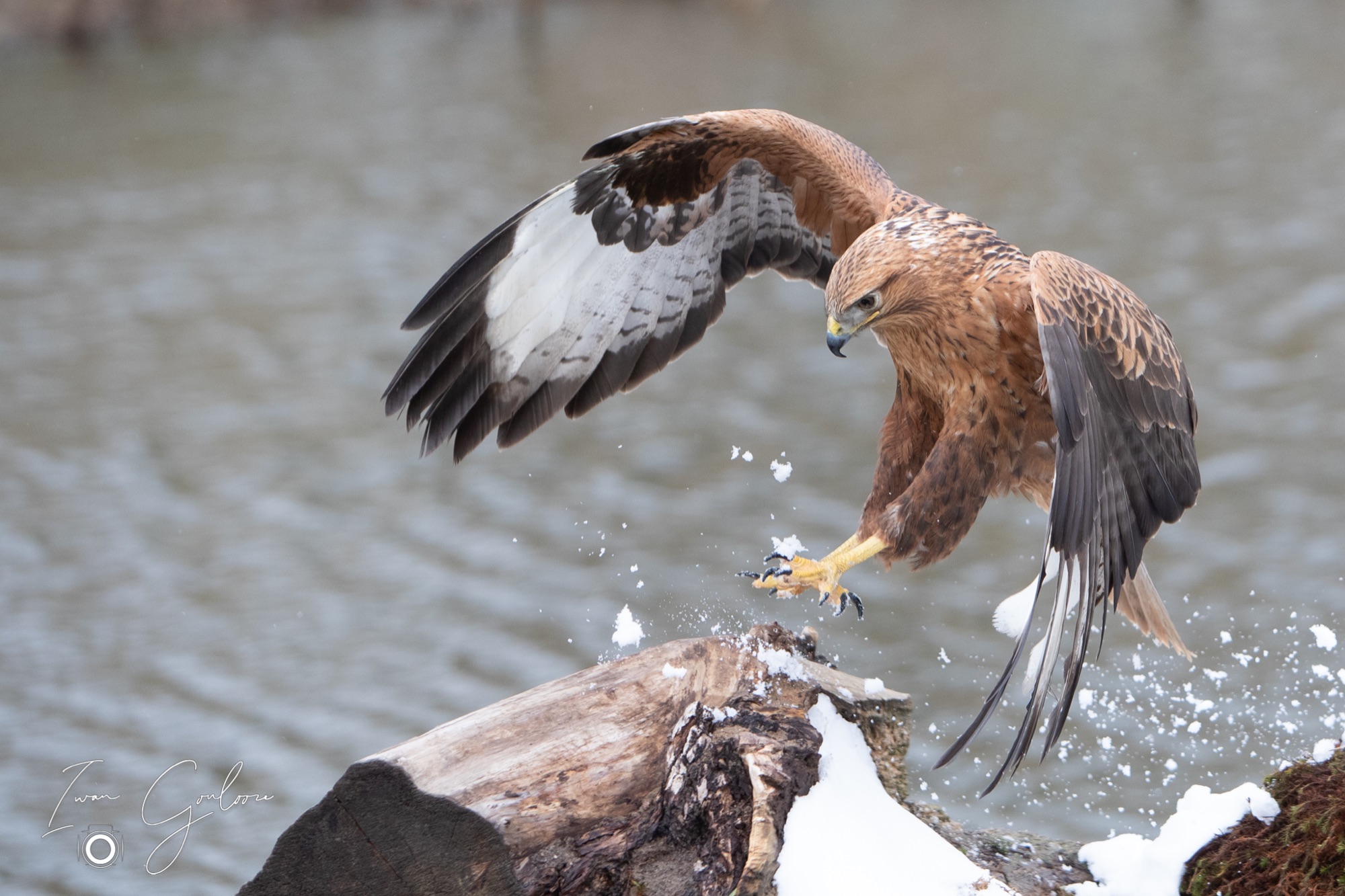 01 april 2022 115946 1DX47246